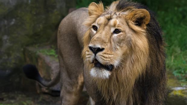 Foto: Petr Hamerník, Zoo Praha