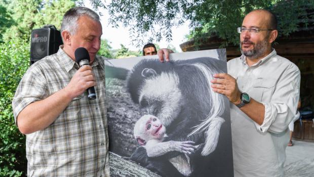Křtiny mláděte guerézy pláštíkové proběhly za účasti zmocněného velvyslance pro státy Afriky pana Pavla Mikeše (na fotografii vlevo) a ředitele Zoo Praha pana Miroslava Bobka. Foto: Petr Hamerník, Zoo Praha