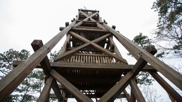 Rozhledna Obora je umístěna na nejvyšším bodě v zoo, poblíž výběhu bizonů a měří 18,5 m. Foto Václav Šilha, Zoo Praha
