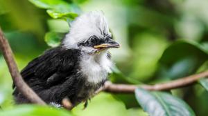 Photo: Tomáš Adamec, Prague Zoo