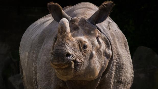 Foto: Petr Hamerník, Zoo Praha