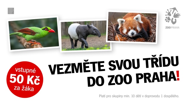 Mateřské školy, školní třídy, zájmové kroužky či party kamarádů do osmnácti let mají od tohoto čtvrtka až do 31. prosince vstup do Zoo Praha za pouhých padesát korun na osobu.