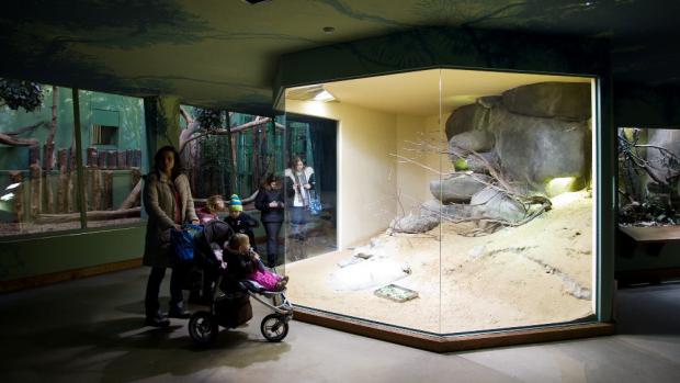 Pavilon šelem a plazů, foto: Tomáš Adamec, Zoo Praha