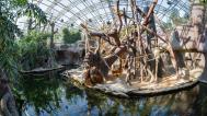Expozice orangutanů v Indonéské džungli, foto: Petr Hamerník, Zoo Praha