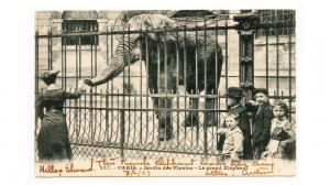 Zoo Praha vznikla až dlouho po zřízení zoologických zahrad v jiných evropských metropolích. Pohlednice ze samotného počátku 20. století ze sbírky autora.