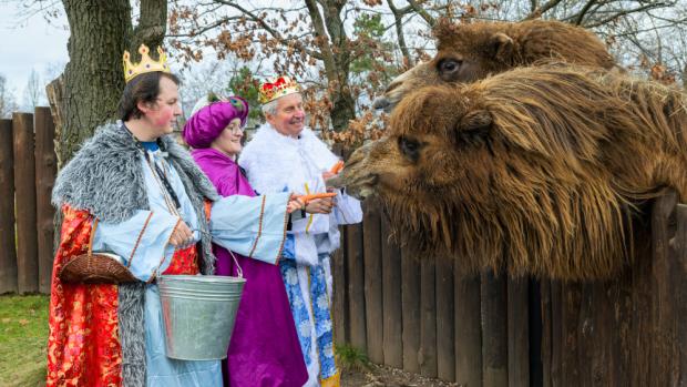 Tři králové v pražské zoo. Foto: Petr Hamerník, Zoo Praha