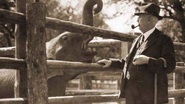 Profesor Jiří Janda, první ředitel Zoo Praha, na snímku se slonem Babym. Zdroj: archiv Zoo Praha