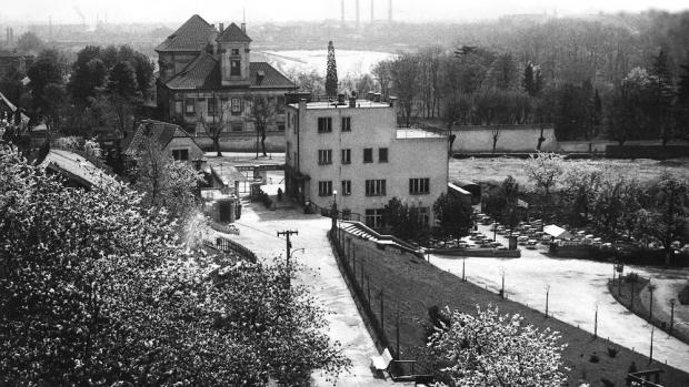 Zdroj: Archiv Zoo Praha