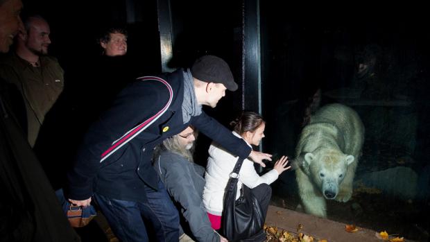 Večerní prohlídky, foto (c) Tomáš Adamec, Zoo Praha