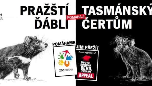 Výtěžek z prodeje suvenýrů s motivem našich tasmánských čertů bude určen na podporu programu „Save the Tasmanian Devil Appeal“ a na vývoj vakcíny proti rakovině tváře, která ohrožuje ďábly medvědovité ve volné přírodě