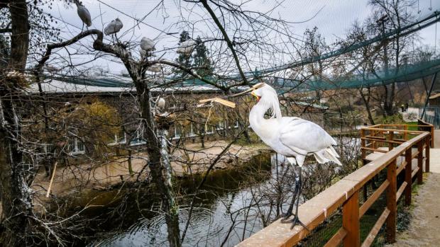 Voliéra Dunajská delta. Foto: Archiv Zoo Praha