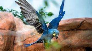 Foto: Petr Hamerník, Zoo Praha