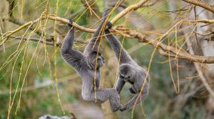 Foto: Petr Hamerník, Zoo Praha
