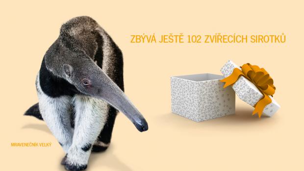 Adopční kampaň