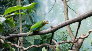 Photo: Petr Hamerník, Prague Zoo