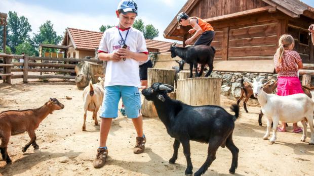 Hlazení povoleno! Foto: Archiv Zoo Praha