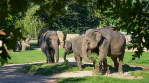 Foto: Petr Hamerník, Zoo Praha