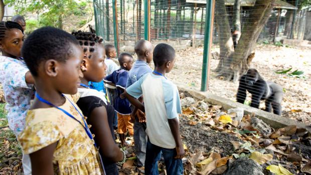 Limbe Wildlife Centre, Photo: Khalil Baalbaki