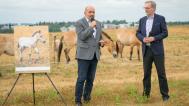 Hříbě, které premiér Petr Fiala pokřtil spolu s ředitelem Zoo Praha Miroslavem Bobkem, je prvním mládětem koní Převalského, které se narodilo ve výběhu zbudovaném pražskou zoo na Dívčích hradech v Radlicích. Foto Petr Hamerník, Zoo Praha