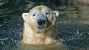 Foto: Petr Hamerník, Zoo Praha