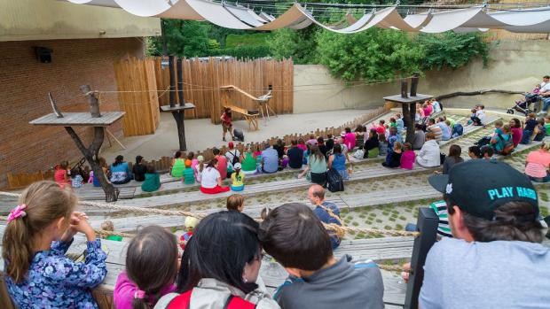 Performances with trained animals. Photo: Petr Hamerník, Zoo Praha