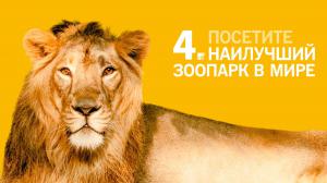 Пражский зоопарк – четвертый из лучших зоопарков мира 