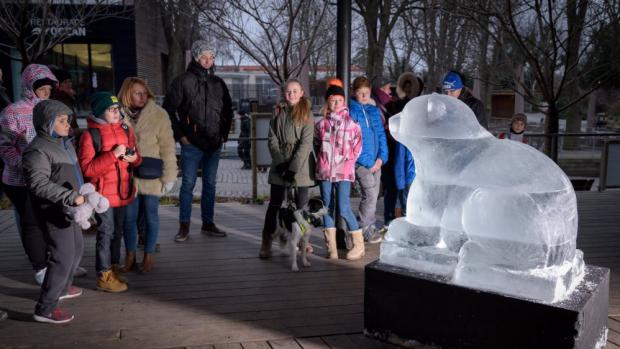 V sobotu 13. ledna byla u Vzdělávacího centra vyrobena více než metrová socha ledního medvíděte ze zmrzlých kvádrů. Foto: Petr Hamerník, Zoo Praha
