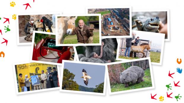 Thank you to everyone who helps Prague Zoo and to those who simply love it! Miroslav Bobek Prague Zoo Director