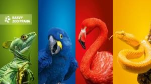 Barvy Zoo Praha
