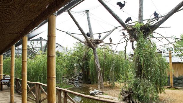Bird Wetlands, photo: Tomáš Adamec, Prague Zoo