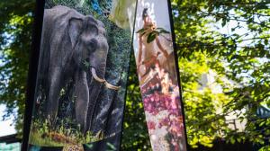 Foto: Oliver Le Que, Zoo Praha 