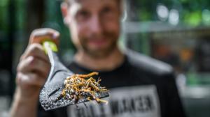 В эти выходные, посвященные насекомоядным, в Пражском зоопарке вы можете попробовать и приобрести всевозможные блюда из насекомых. Фото Петр Гамэрник, Пражский зоопарк