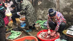 Foto: Simon Song, South China Morning Post 