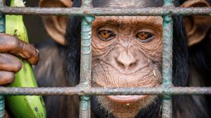 Foto: Miroslav Bobek, Zoo Praha