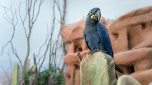 Foto: Petr Hamerník, Zoo Praha