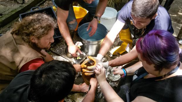 Cleaning of the penguins. Eight of them survived under a car, another one was captured in the river several hundred metres from the Zoo. Photo Vít Lukáš