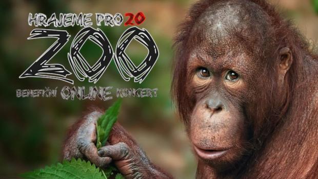 www.hrajemepro20zoo.eu