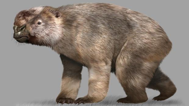 Diprotodon optatum (c) Jan Sovák