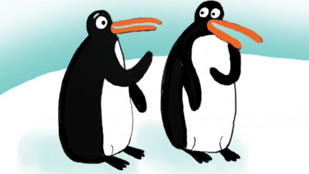 Pro slepičí kvoč se věnuje i tučňákům