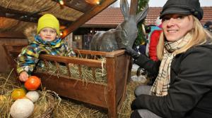 Vánoční program pražské zoo bude plný Betlému a českých tradic. Foto: Stanislav Pecháček