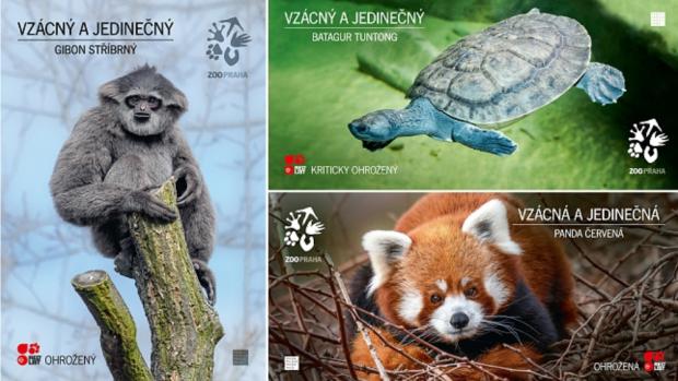 Foto: Archiv Zoo Praha
