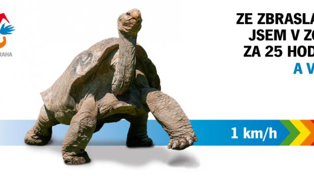 (c) Zoo Praha