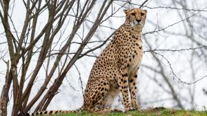 Foto: Petr Hamerník, Zoo Praha