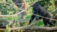 Foto: Petr Hamerník, Zoo Praha