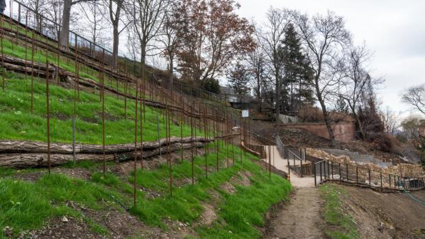 Revitalizace skalního masivu nad expozicí vzácných papoušků, jejíž součástí byla také obnova historicky doložených vinic. Foto: Petr Hamerník, Zoo Praha