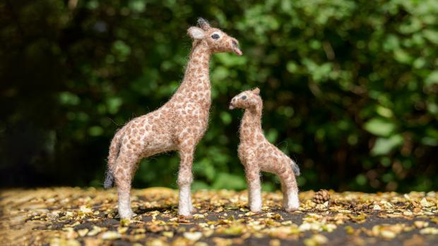 Ukázka práce lektorky Jitky Ferstové. Foto: Petr Hamerník, Zoo Praha