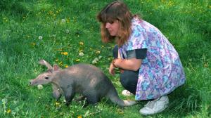 Photo: Vladimír Motyčka, Prague Zoo