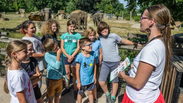 Spolu s výhodným vstupným mohou školní skupiny využít i tematických komentovaných prohlídek Zoo Praha – máte zájem o primáty, kopytníky, ptáky nebo třeba etologii? Foto Petr Hamerník, Zoo Praha