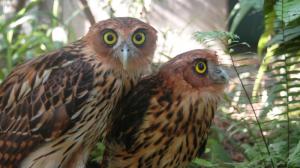 Photo: Prague Zoo