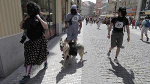 Běh pro gorily, foto Tomáš Adamec